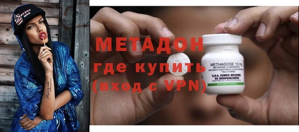 хмурый Аркадак