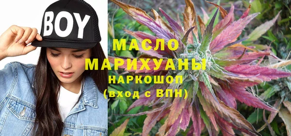 хмурый Аркадак