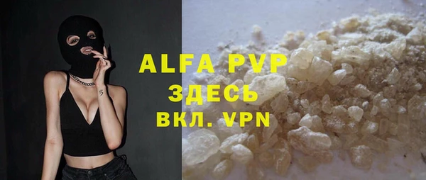 хмурый Аркадак