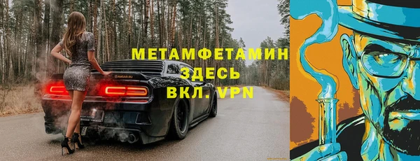 хмурый Аркадак