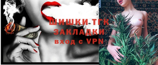хмурый Аркадак