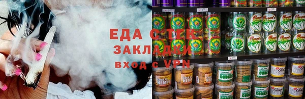 хмурый Аркадак
