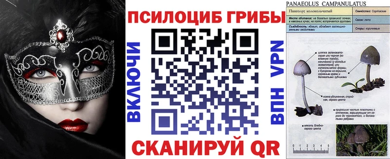 Псилоцибиновые грибы мухоморы  Светлогорск 